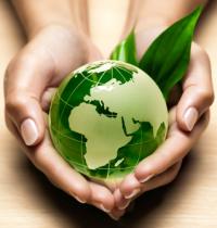 Grupo: Sustentabilidade