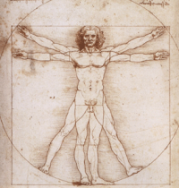 Grupo: Antropologia