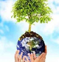 Grupo: Ecologia