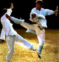 Grupo: Artes Marciais